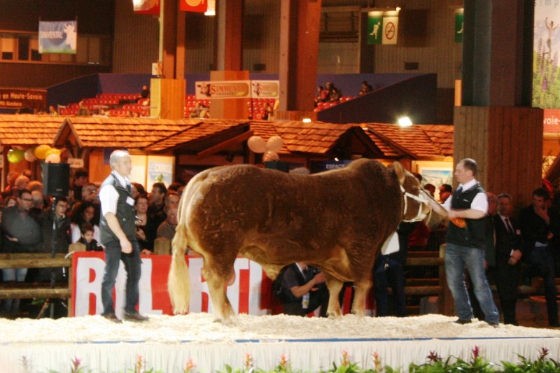cga 2012 024.JPG